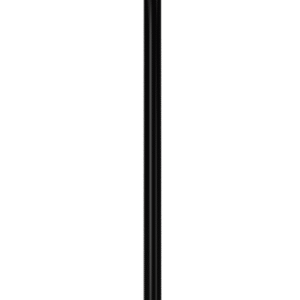 ELX200_PoleMounted_10p12sp-1-scaled-1.png Electro Voice ELX200-10P 10" powered loudspeaker