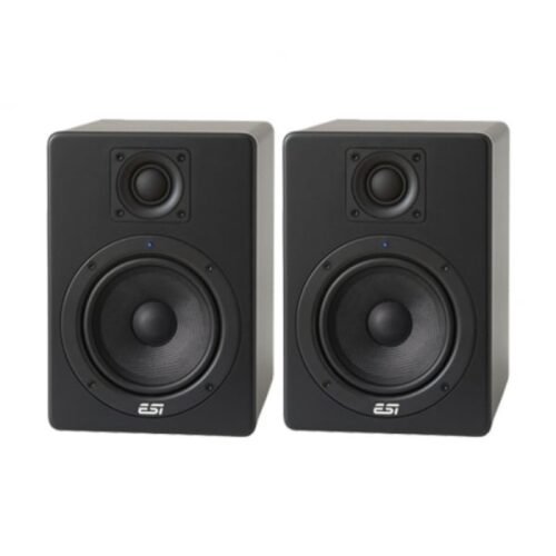 ESI Aktiv 05 5inch Near Field Reference Studio Monitor
