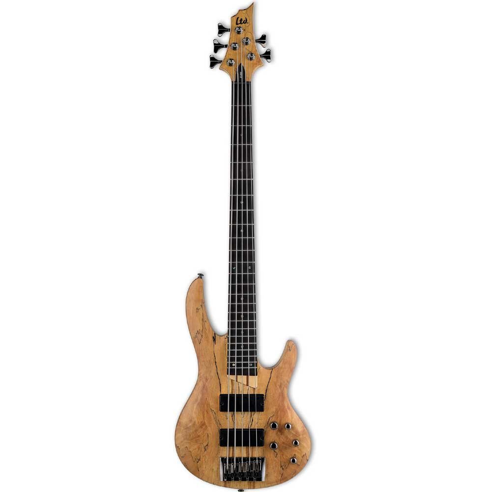 ESP LTD B-205SM 5-String Bass Guitar - Natural Satin