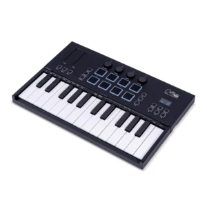 Blackstar Carry-on Folding Controller 25