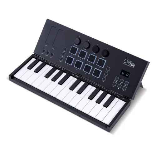 Blackstar Carry-on Folding Controller 25