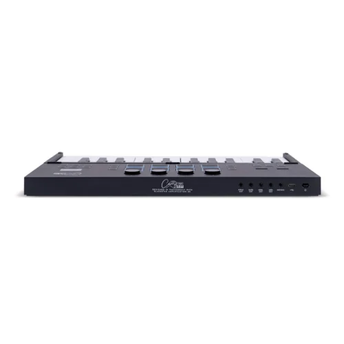 Blackstar Carry-on Folding Controller 25