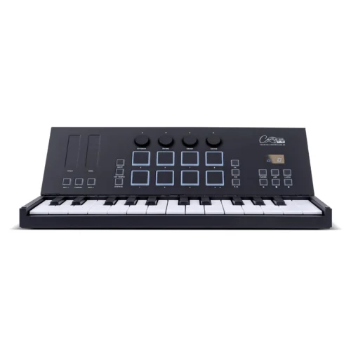 Blackstar Carry-on Folding Controller 25