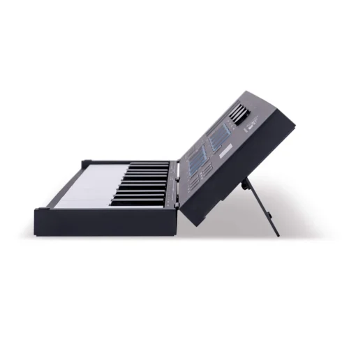 Blackstar Carry-on Folding Controller 25