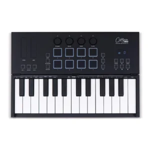 Blackstar Carry-on Folding Controller 25