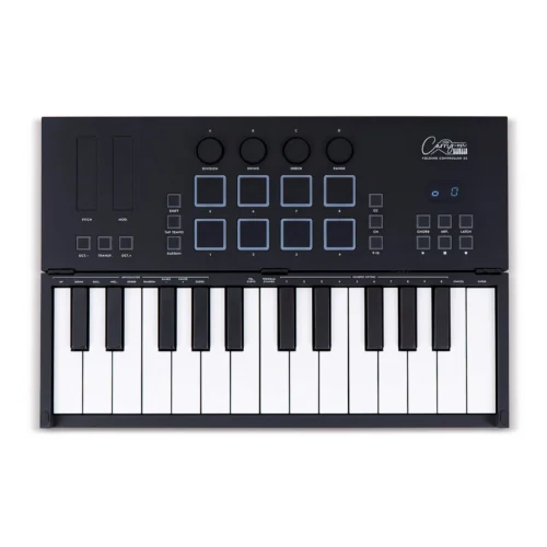 Blackstar Carry-on Folding Controller 25