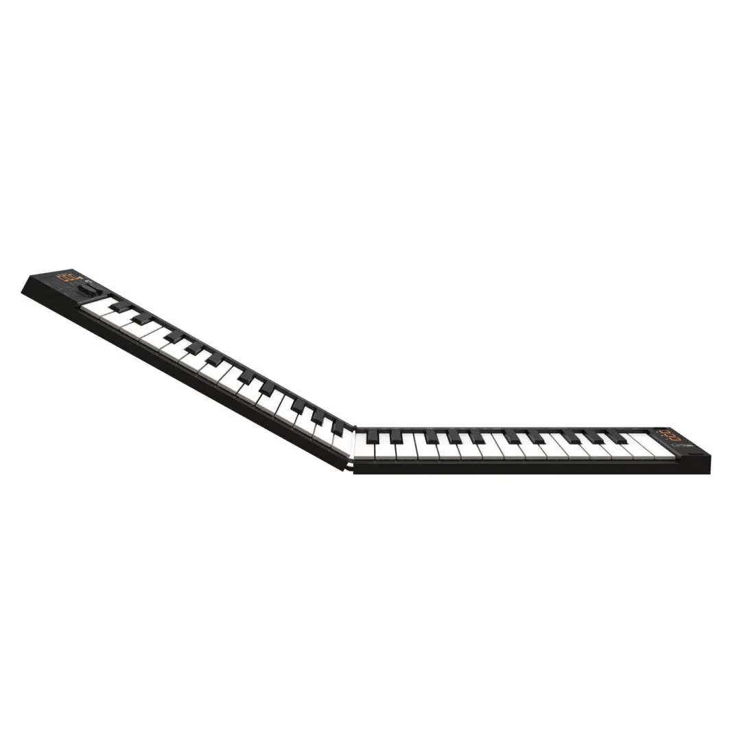 Blackstar Carry-on Folding Controller 49