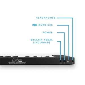 Blackstar Carry on FP88 Folding Piano Black