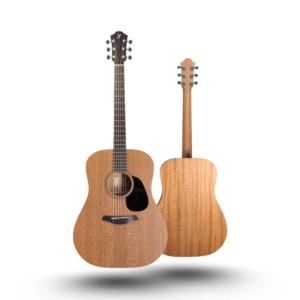 Furch Blue D-MM LR Baggs SPE Electro Acoustic Guitar