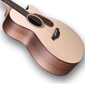 Furch Blue Dc-SW LR Baggs SPE Electro-acoustic guitar Furch Blue Dc-SW LR Baggs SPE Electro-acoustic guitar