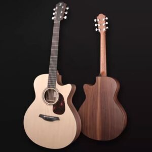 Furch Blue Dc-SW LR Baggs SPE Electro-acoustic guitar Furch Blue Dc-SW LR Baggs SPE Electro-acoustic guitar