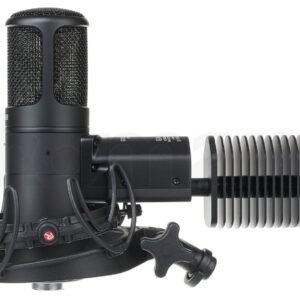 Golden Age Audio Premier GA-8000