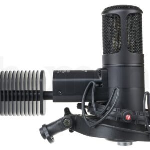 Golden Age Audio Premier GA-8000