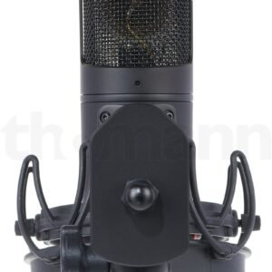 Golden Age Audio Premier GA-8000