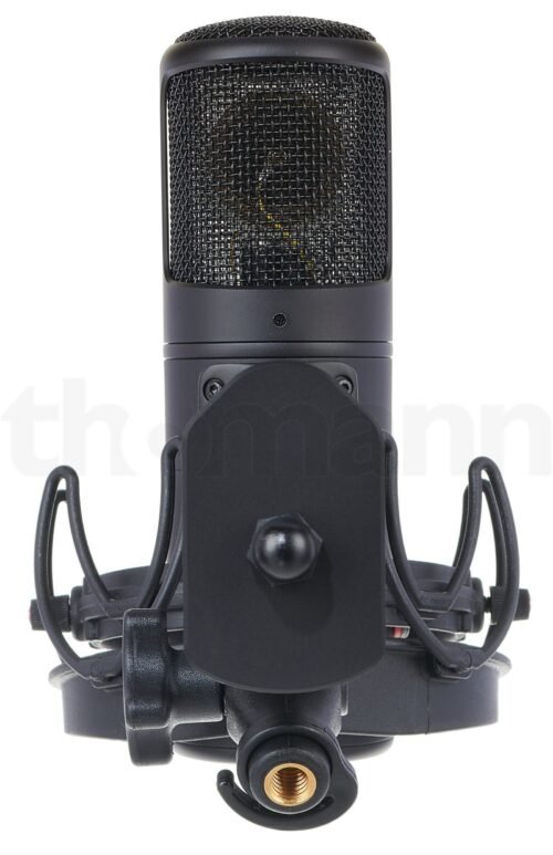 Golden Age Audio Premier GA-8000