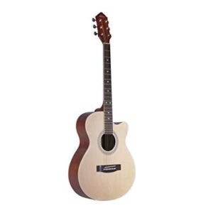HERTZ GUITAR HZA 4010N