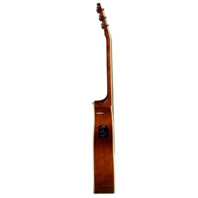 HZA5100 Sunburst 4