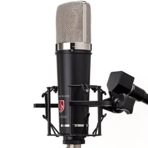 Lauten Audio LA-220 V2 Condenser Microphone