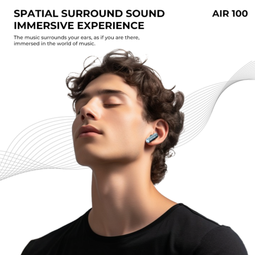 Lenyes Air100 ANC + ENC Wireless Earbuds - Black