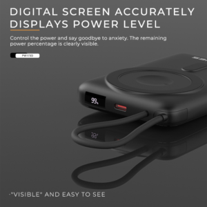 Lenyes PW173D 10000 mAH Wireless Powerbank