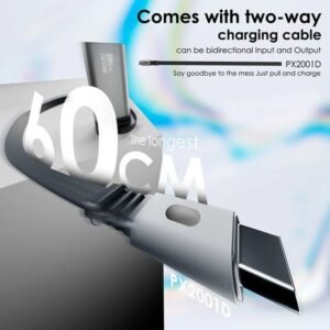 Lenyes PX2001D 20000 mAh Powerbank