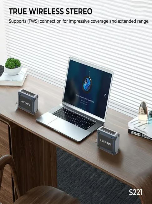 Lenyes S221 10 W Wireless Speaker