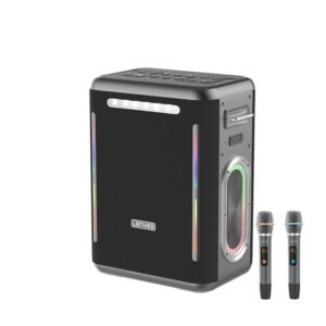Lenyes S837 300Watt Portable Karaoke Party Speaker