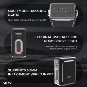 Lenyes S837 300Watt Portable Karaoke Party Speaker