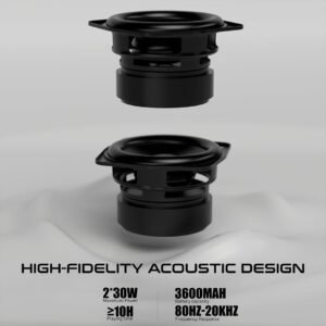 Lenyes S871 60 W Wireless Speaker