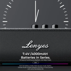 Lenyes S876 90 W Wireless Speaker - Black