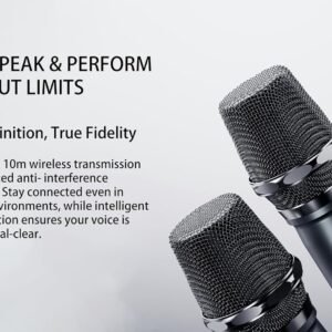 Lenyes Titan 2 200 W Wireless Speaker