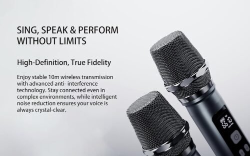 Lenyes Titan 2 200 W Wireless Speaker