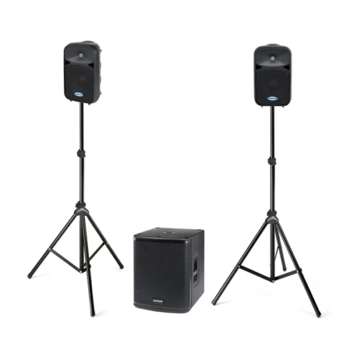Samson Auro D1228 Performer Package