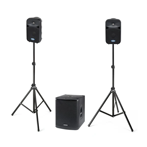 Samson Auro D1228 Performer Package