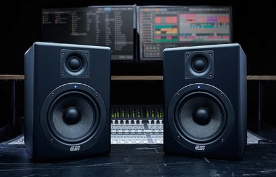 ESI Aktiv 05 5inch Near Field Reference Studio Monitor