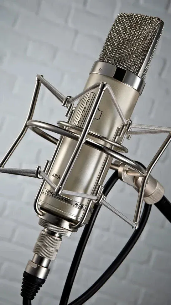 Sontronics-ARIA-Cardioid-valvetube-condenser-microphone-1.webp Sontronics ARIA Cardioid Valve Condenser Microphone