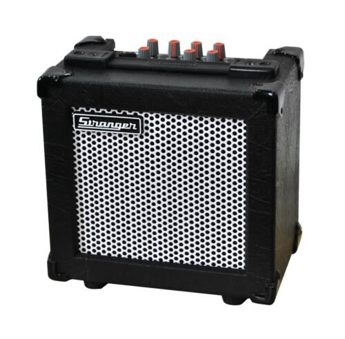 Stranger C10 GUITAR, KEYBOARD, MIC