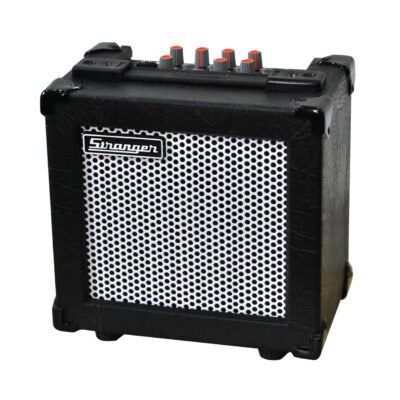 Stranger C10 GUITAR, KEYBOARD, MIC