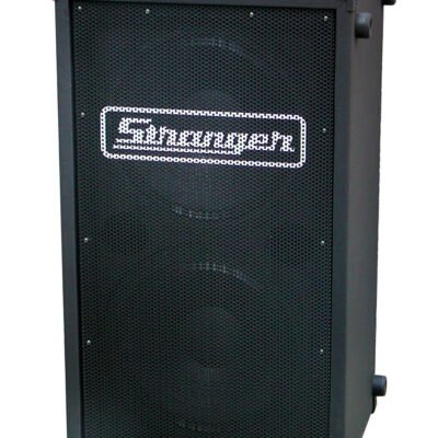 Stranger M122 Speaker System