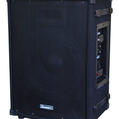 Stranger PM25 Vocal, Guitar & MP3 Player with Cordless Microphone (2)