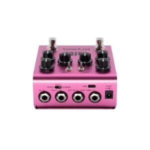 Strymon DIG Dual Digital Delay Pedal V2