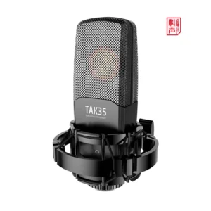 TAK35-1.webp Takstar TAK35 Studio Recording Condenser Microphone