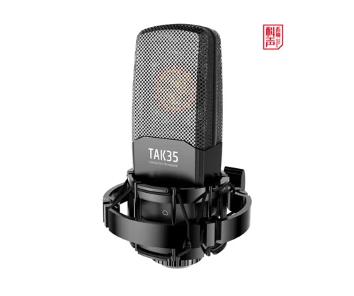 Takstar TAK35 Studio Recording Condenser Microphone