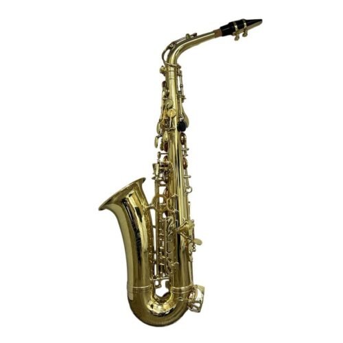 Tamrock-TMAS-01-2.jpg Tamrock TMAS-01 Alto Saxophone