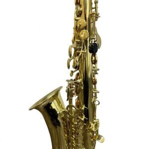 Tamrock-TMAS-01-3.jpg Tamrock TMAS-01 Alto Saxophone