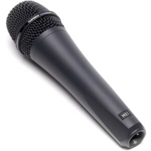 Telefunken M 81 Gray Microphone