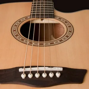 Washburn - WD7SCE