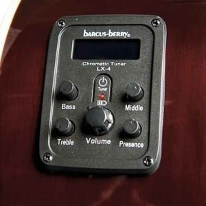 Washburn EA55G-A-U Grand Auditorium Electro-Acoustic Guitar - Koa Burst