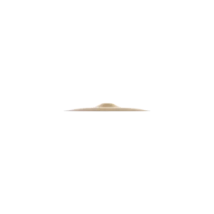 Zildjian A Series 10'' Splash Cymbal A0211