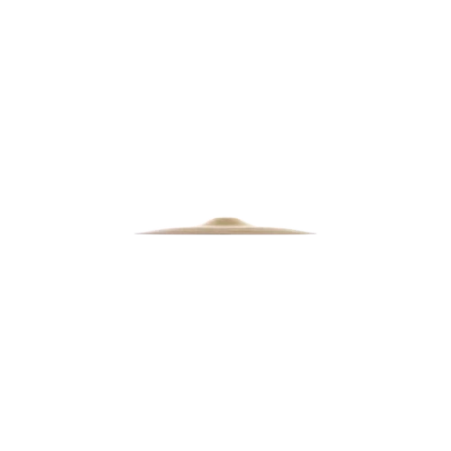 Zildjian A Series 10'' Splash Cymbal A0211
